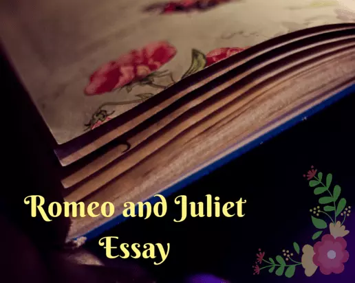 The Romeo and Juliet Essay – Love, Intrigue, Blood – What could be Better?