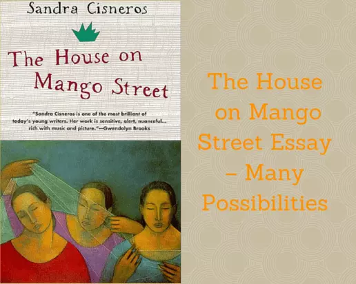 The House on Mango Street Essay – Many Possibilities
