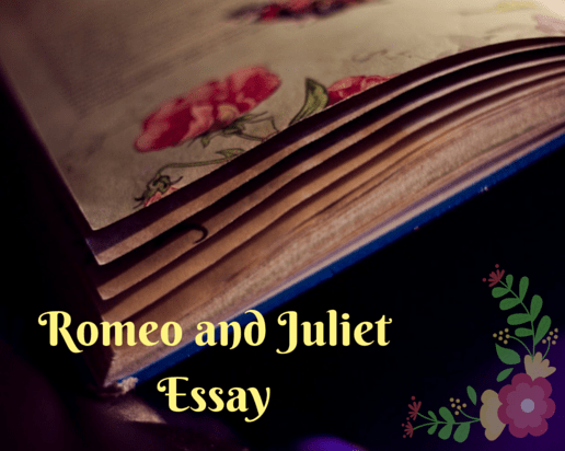 The Romeo and Juliet Essay – Love, Intrigue, Blood – What could be Better?