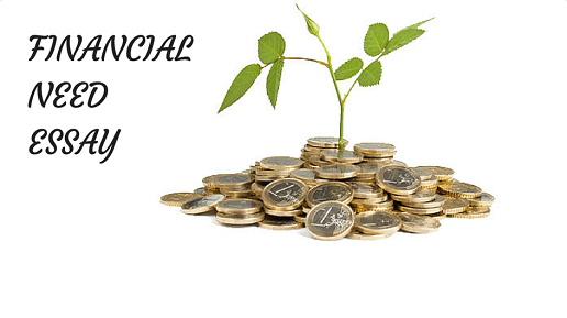 Financial Need Essay Financial Need Essay