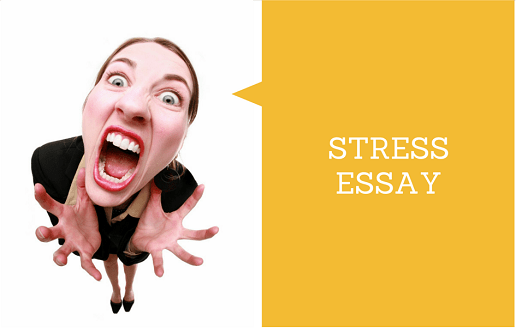 Stress Essay Stress Essay