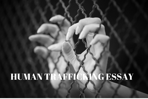 Human Trafficking Essay Human Trafficking Essay
