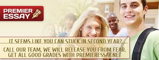 Persuasive essay examples and essay outlines at any tastes Persuasive essay examples and essay outlines at any tastes